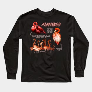 Flamingo Fun Facts Long Sleeve T-Shirt